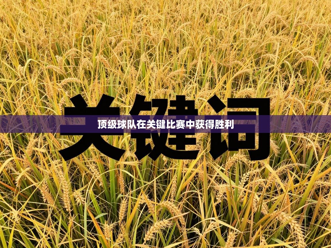 顶级球队在关键比赛中获得胜利 第1张