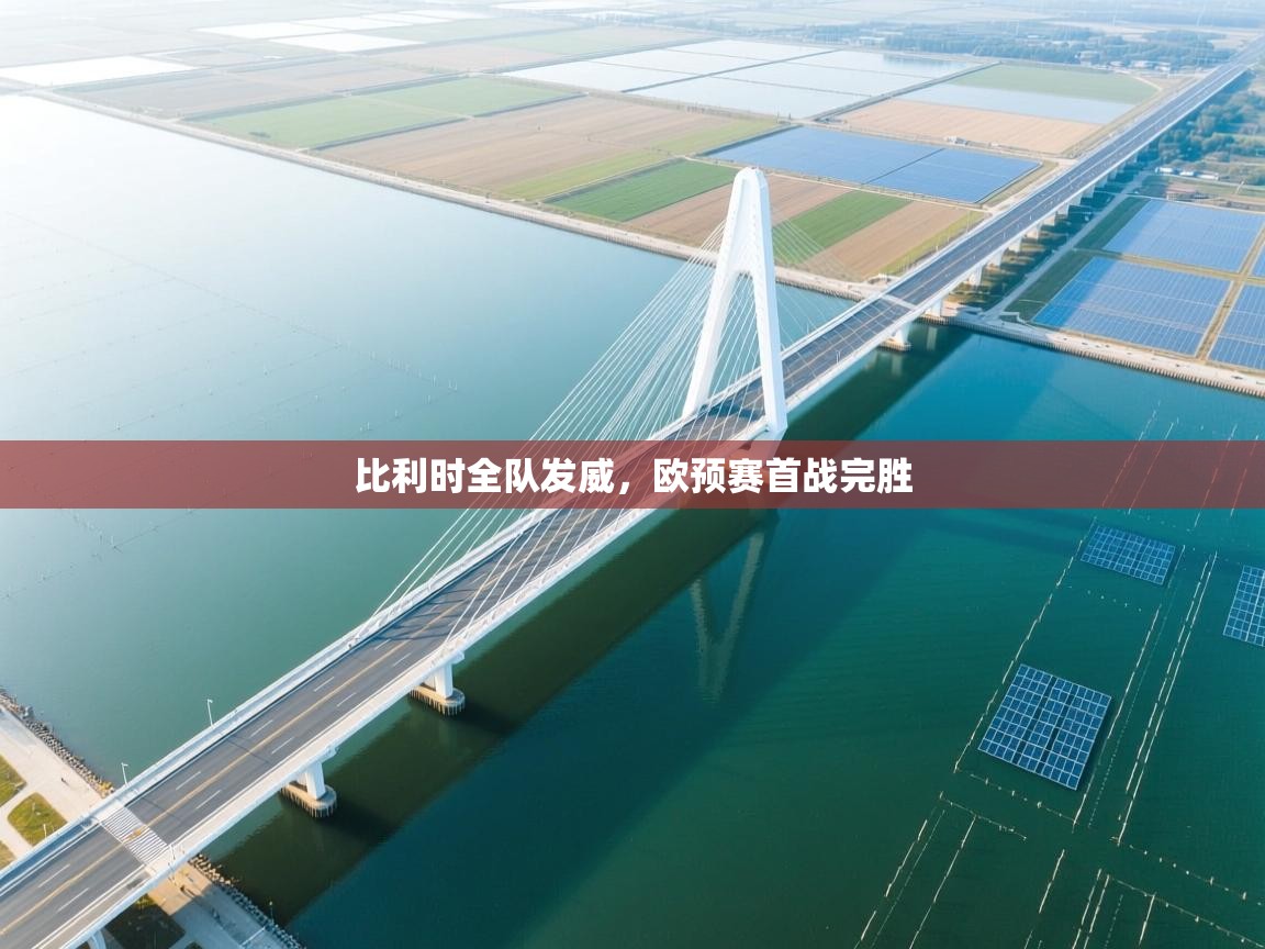 比利时全队发威,欧预赛首战完胜 第1张