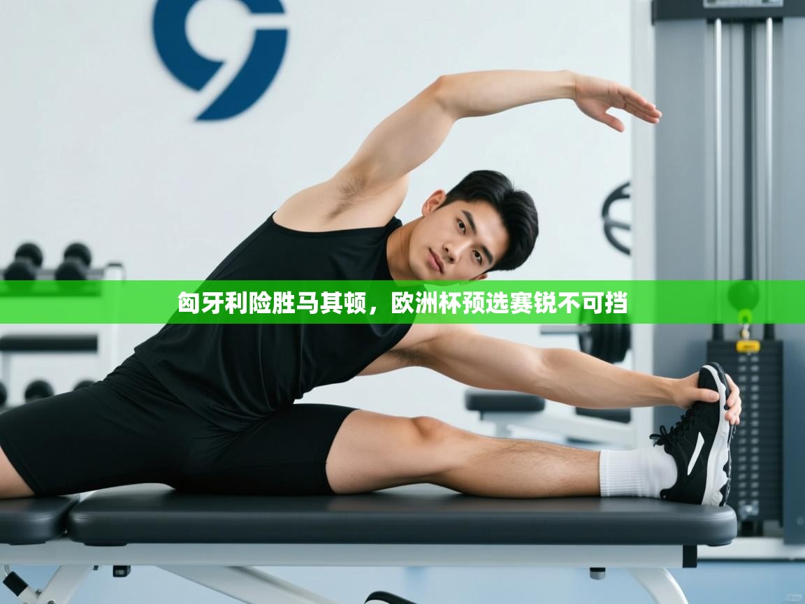 匈牙利险胜马其顿,欧洲杯预选赛锐不可挡 第1张